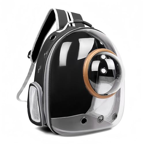 QAOVLTH ybgL[ L bN LL[obO FDJvZ^ pbht  ʋC e ϋv S Lp p bN obO sybgobO ʉ@ h pœK o U (ubN)