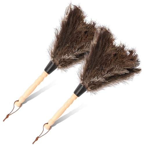 Plumero de avestruz con mango de madera multiusos reutilizable para limpieza de plumas antiguas