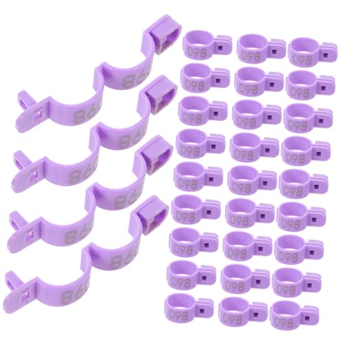 Anillos para patas de pollo púrpura de plástico, 100 bandas para identificación
