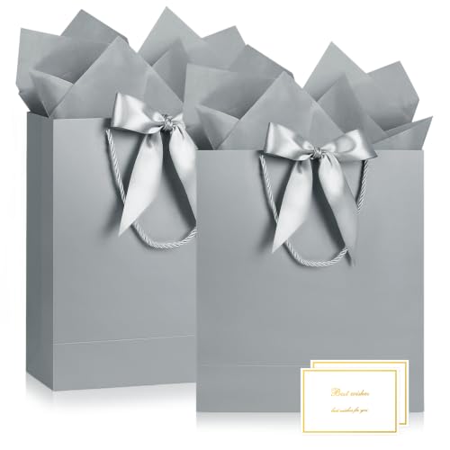 Image of JMANNI Gift Bag, 2PCS Gift Bags Large with Ribbon and 2 Greeting Cards 4 Tissue Paper, Portable Paper Gift Bag with Handles, Birthday Gift Bags,Present Bags for Wedding Party Mothers Day(Silver)