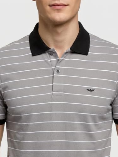 Image of Park Avenue Men Slim Fit Stripe Pattern Pure Cotton Polo Neck Half Sleeve Casual T-Shirt