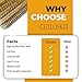 Preamer 6pcs Brass Tube Pipe Cleaners Brush Set , Multi-Functional Bottle Brushes Long Brass Cleaning Wire Brushes for Cleaning Rust Set for Drill/Hand Descaling Rust Removal , 0.3