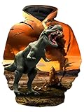 CAMLAKEE Kinder Dinosaurier Grafik Hoodies Jungen 3D Druck Kapuzenpullover Mädchen Pullover Unisex Lustig Hoodie mit Taschen 10 Etikettengröße L/128-134