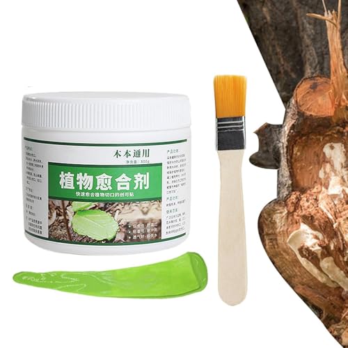 �����̐؂���p���؃V�[���[ �ʎ����؂̙����̐؂���ɂ�,500g �A���ڂ��؃y�C���g �u���V�t�� �ڂ��ؗp�h�z��C�h�� - ���؂̏����p�h���b�V���O �ی�핢�����č� - �Ő� �� �؍� �ʎ� �� �� ��� �P�A �R�[�e�B���O �� ������� �� �g��