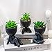 VENY TAYA 3PCS Human-Shaped Potted Artificial Plants Office Decor for Women and Men, Small Fake Plants Decor for Bedroom and Bathroom, Cute Faux Succulent Desk Decor for Office and Home, Black