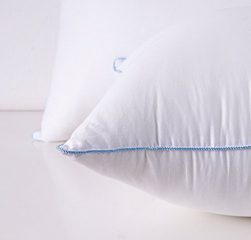 Homesjun Set Of Two, Fluffy Down Alternative Bed Pillow Cotton Cover, White, 20X28 #TOP1