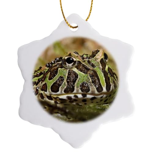 3dRose Pacman Frog, South American Horned Frog - NA02 AJE0359 - Adam Jones 3 inch Snowflake Porcelain Ornament