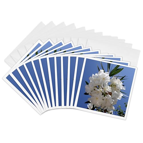 Cartes de vœux haut de gamme 3dRose Gc_320697_2 au fini blanc mat pour écrits précieux