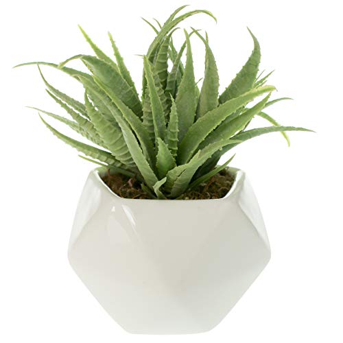 Small Faux Aloe Succulent in White Geometric Ceramic Planter - 4.5 x 6.5 Inches - Marmeda Decor Potted Artificial Plant in Glazed Vase - Modern Decor for Home or Office