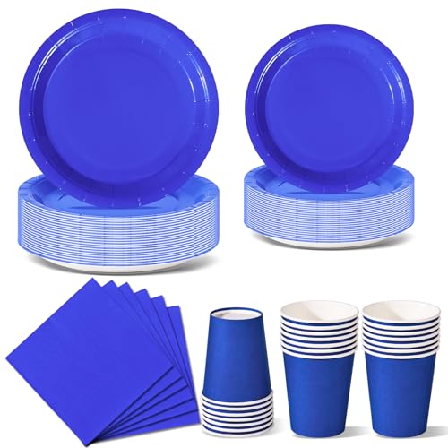 Nkaiso Anniversaire Vaisselle de fete 96 Pièces Bleu Joyau Party Assiettes en Papier Set Assiettes de Fête Jetables Papier Tasses Serviettesr, pour Barbecue...