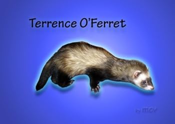 Terrence O'Ferret: Mollieland Ferrets