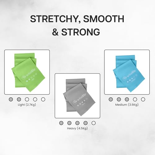 Image of Wiselife Professional Latex Resistance Thera Band - (Set of 3) | 48x4 inch |100% Natural | for Warm-Up, Stretching, Cardio, Strength Training, Home Fitness, Exercise, Gym Workout,& Yoga
