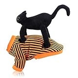 Tolles Weihnachtsgeschenk: Wenn Sie sich fragen, was Sie Ihren geliebten Hund für diese Weihnachtszeit bekommen können, endet Ihre Suche - warten Sie nicht mehr, klicken Sie auf 