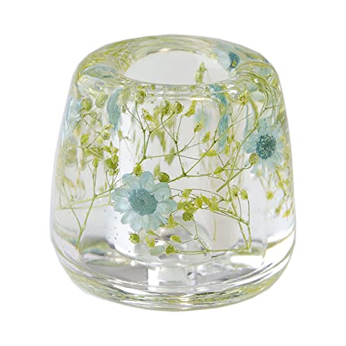 N&N Find Japan Japanese Toothbrush Holder Stand with Real Flower in Acrylic (Star Blue)