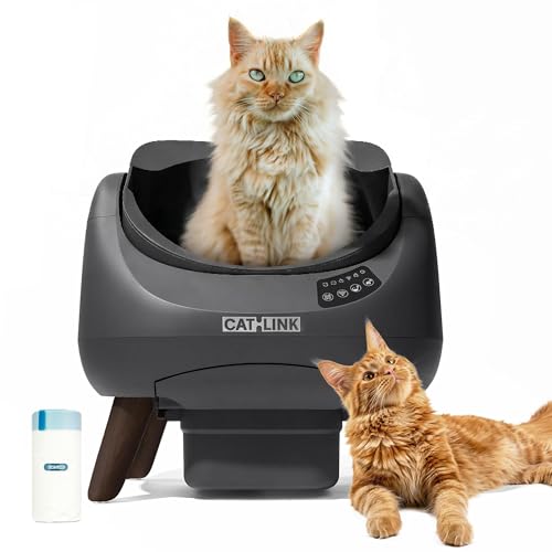 CATLINK Lettiera Autopulente per Gatti, Design Aperto con Ingresso dall'Alto,