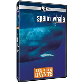 DVD Inside NatureS Giants: Sperm Whale Book