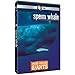 Inside Nature's Giants: Sperm Whale