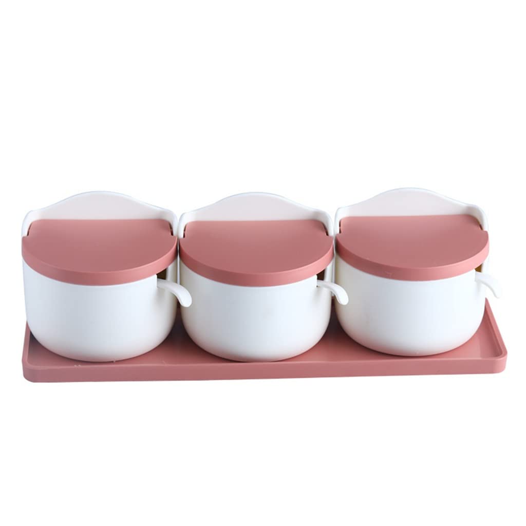 IANSHFKN With A Spoon Spice Bottles Suits Seasoning Box of Condiments Household Receive A Case