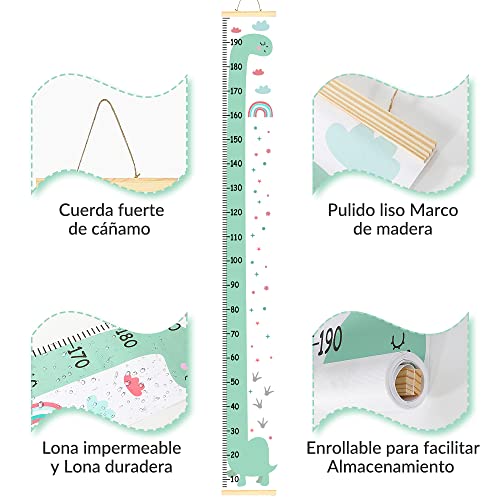 Lista de Gráficos de crecimiento , tabla con los diez mejores. 5 Gráficos de crecimiento marca HomeChi (2)