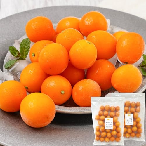 みやざき宝島本舗 [徳用]内山金柑園のまるかじり氷結きんかん1kg(500g×2P)