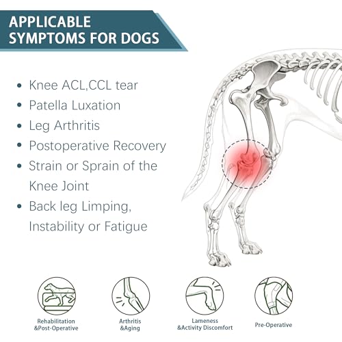 Image of Dog Knee Brace for Torn ACL Hind Leg & Luxating Patella, Multi-Functional Adjustable Rear Leg Braces for Dogs, Pain Relief, Post-Surgery Recovery, L