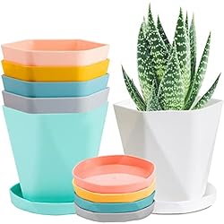 Macetas Para Cactus Recicladas LATERN 6 Piezas Macetas de Plástico, 13CM Maceta de Colores Sembradora de Plántulas de Control de Raíces Estilo Nórdico Macetas de Jardín con Platillo para Flores Hierbas Suculentas Cactus (6 Colores)