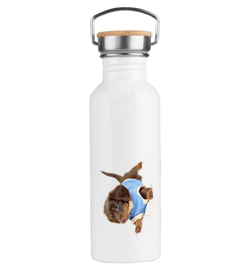 MERCHANDMANIA BIDON 750 ML ACERO INOXIDABLE ESTILO RETRO perro salchicha arlequín perrito gracioso jugar deporte deportivo botella senderismo