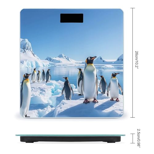 Báscula digital de baño Penguin Antarctica Ice peso corporal miniatura 2