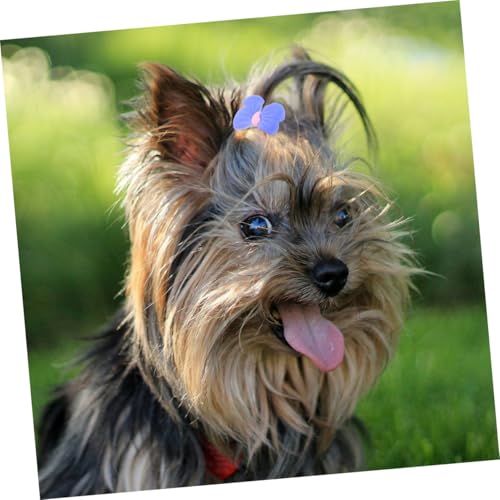 SEWOART 20 Stück Kleine Hundehaarschleifen Mit Gummiband Widerstandsfähiges Pflegezubehör Aus Leichtem Material Für Welpen Festliche Haar Accessoires Für Kleine Hunde