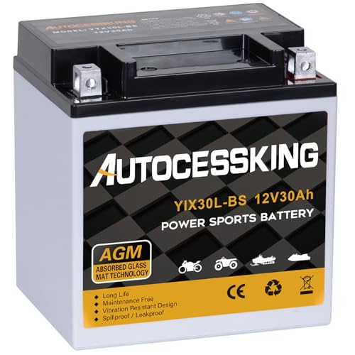 Autocessking YTX30L-BS Motorcycle Battery 12V 30AH Rechargeable Maintenance Free Sealed AGM Battery Powersport Replacement Battery for ATV and Scooter