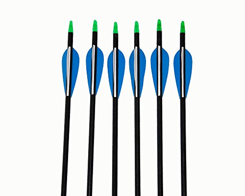 I-Sport 32" Archery Fiberglass Targeting Arrows With Screw-In Tips 100 Grain Broadheads For Compound Bow Or Recurve Bow(Pack Of 6) #TOP1