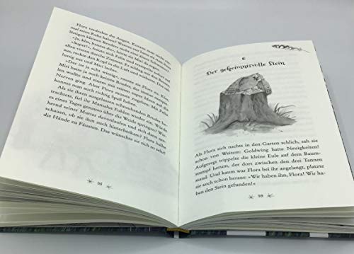 Eulenzauber 06. Hilfe für das kleine Fohlen