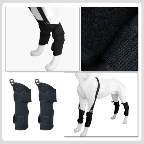 Image of Mipcase 4 Pairs Pet Knee Pads for Braces Dog Front Leg Brace Dog Walking Assist Belt Knee Sleves Shin Guard Sleeves Dog Supply Leashes Neoprene Puppy