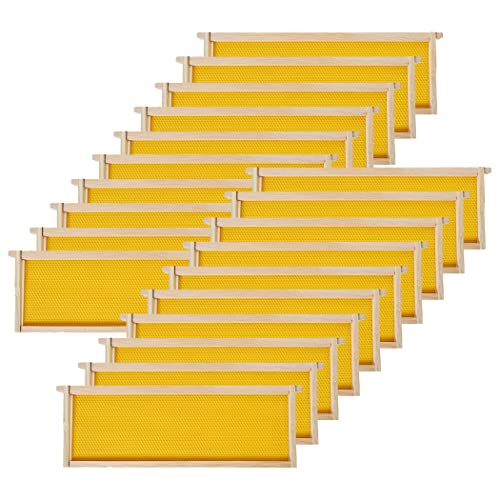 BeeCastle 20-Pack Beehive Bee Frames Waxed Foundation with Complete Unassembled Commercial Frames, 6-1/4-Inch (Yellow)