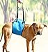 AMZpets Medium Dog Lift Support Harness. Helps Old or Injured Canines Stand Up, Walk, Climb Stairs, Hop Into Cars. Best Alternative To Dog Wheelchair. Lifting Sling is Recommended by Veterinarians