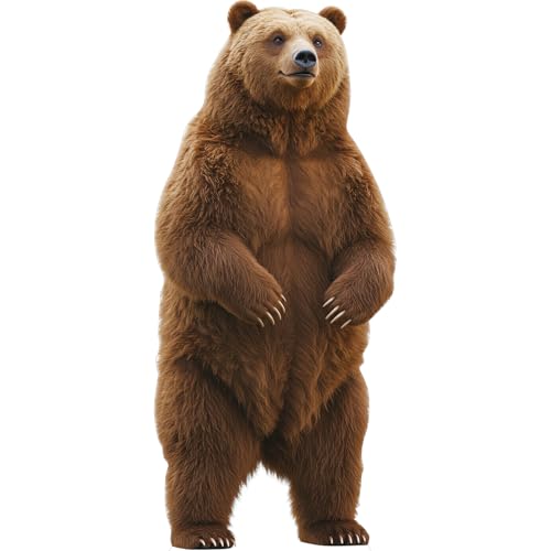 Image of Cardboard Cutout, Brown Bear, 2FT Life Size, 1 PC, Party Decor | Brown Bear Animal Standup Cardboard Cutout for Events, Birthday, Photos, Photo Booth, Party Decor, Home, Wedding