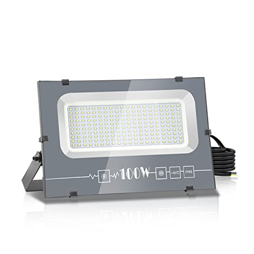 Royana 100W LED Foco Exterior, IP66 Impermeable Proyector Foco LED, 3000K Blanco Cálido Floodlight Led Foco Proyector,100% Iluminación de Seguridad, para Jardín, Patio Pared,Patio, Camino