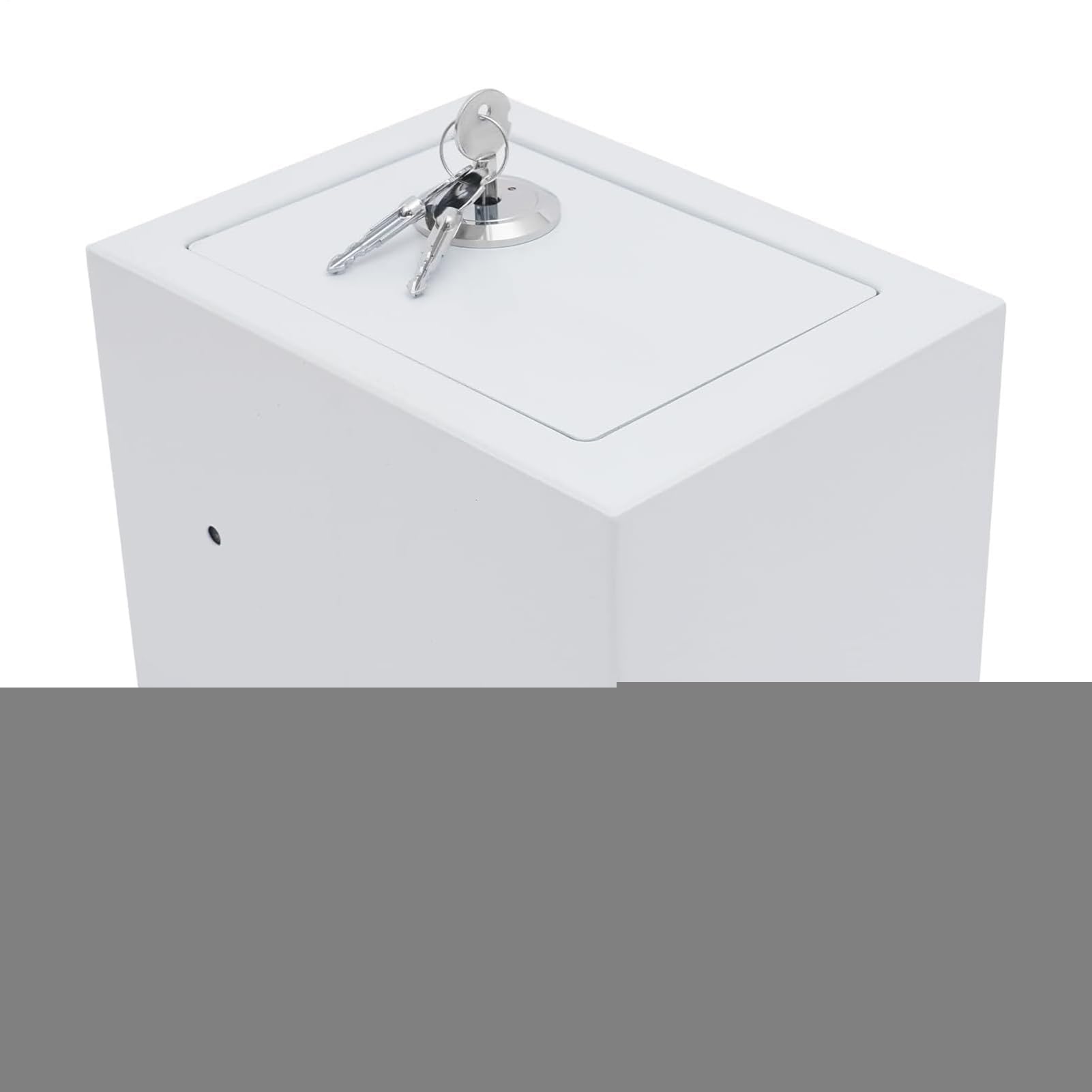 Cassaforte per casa Contenitore Ignifugo Portatile per Soldi e Organizer