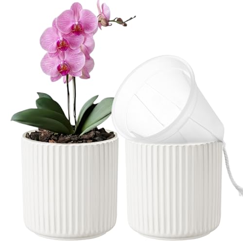 TineDew 2 Pack of 5in Ceramic Cachepot with 5 inch Clear nusery Pot - self Watering Indoor Planter with Drainage for Root Visibility,semi Hydro pots for repotting Orchid,White