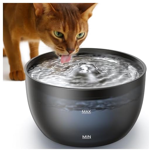 FEELNEEDY Trinkbrunnen für Katzen - 3L Katzenbrunnen Leise mit Aktivkohlefilter - Trinkschale aus Edelstahl - Durchsichtiger Wassertank - Wasserbrunnen für Katzen - Schwarz