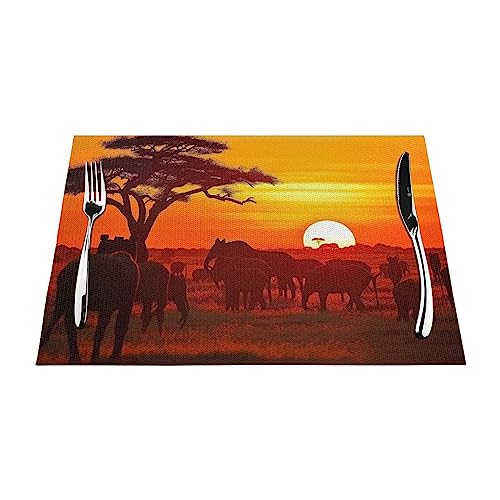 Sets de table en vinyle antidérapant résistant chaleur 30x45cm motif coucher de soleil