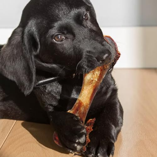 Echte Hundeknochen, Markknochen, tragbar, robust, Kauspielzeug für Hunde, aggressives Kauspielzeug für Hunde, natürliche Leckereien für große Rassen für Kauspieler