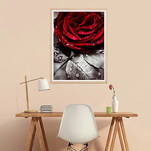 Jantabo Diamond Schilderij Kits Roos, 5D DIY Bloem Volwassenen Beginners Diamond Painting Set Volledige Boor Cross… - Image 5