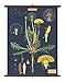 Produktbild Vintage Poster Set extra groß mit Holzleisten (Rahmen) und Schnur zum Aufhängen, Motiv Löwenzahn, Dandelion