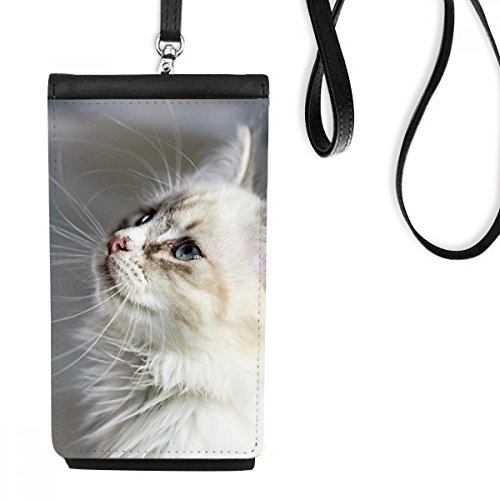 Cadeau porte-monnaie chat mignon en cuir pour anniversaire et fêtes