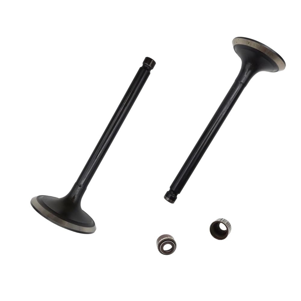 Kit valvola di aspirazione 1Pc e valvola di scarico 1Pc adatti for il suo HS 500CC ATV UTV HS ERP CODICE P002000147110000 P002000147210000