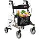 Bischoff & Bischoff Rollator-Rollstuhl-Kombination