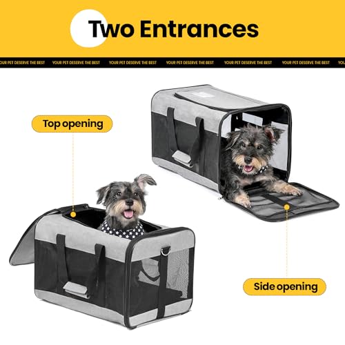 Conlun Hundetransportbox Weichseitig, Große Tasche für Katzen mit Innenleine, Transport für große Katzen und mittelgroße Hunde bis 9 kg, Zusammenklappbare Reisetasche für Welpen -Grau,L