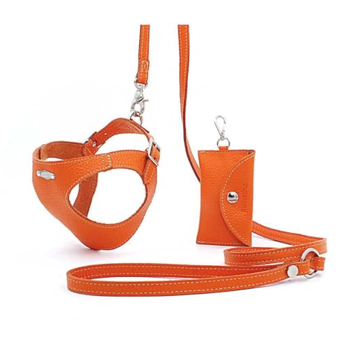 Basic. Set 3 Pezzi. Pettorina per Cani, Guinzaglio e Porta Sacchetti per Cane in Pelle Made in Italy Arancione 2XS