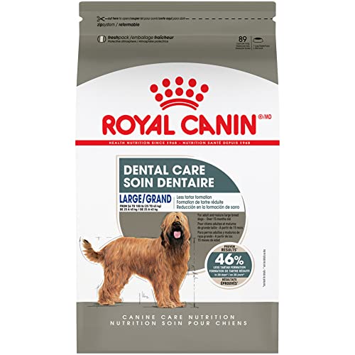 10 Best Dog Foods to Keep Dental Issues at Bay A Comprehensive Buying